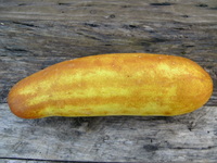 夏野菜