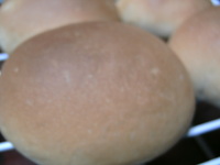 ランチパン