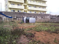台風の爪痕…１ 2011/05/29 09:48:09
