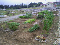 2010年06月18日