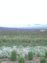 上富良野 2009/07/17 17:11:40