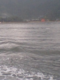 雨の宮島 2009/08/15 08:20:29