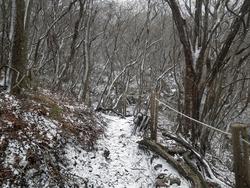 くじゅう登山しました！