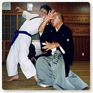 合気道から八光流柔術へ、元祖は大東流柔術