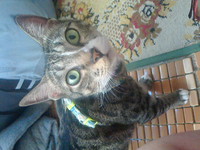 お知らせです。 2021/04/06 20:43:53