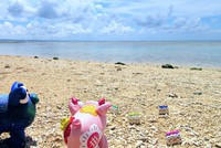 ネットショップ　オープンしました♪ 2020/09/13 22:21:10