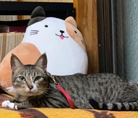 ELUEメッセージ 2020/12/15 11:22:48