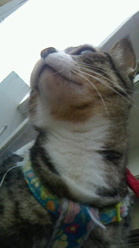 残り１名です。 2020/02/13 22:08:48