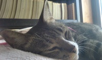 ELUEメッセージ 2021/01/10 12:58:31