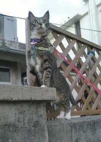 ELUEメッセージ♪ 2020/11/11 16:39:44