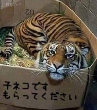 キャッシュレス化✨