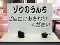 そりゃないだろ　次郎さん 2010/11/03 17:06:08