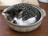 やってくれたよ次郎 2010/10/31 07:59:18