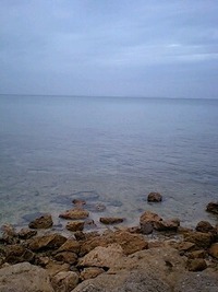 大嶺海岸歩きませんか!! 2011/05/20 21:34:23