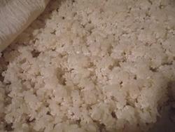 味噌を作った・・・できたと思う！