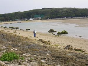 海を歩く！