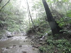奥間川上流を歩く！