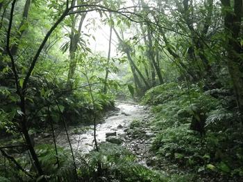 奥間川上流を歩く！