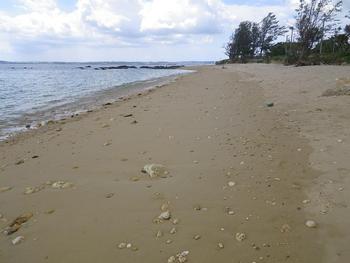 浜めぐり