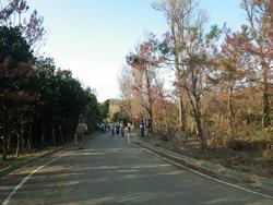 「万座毛のガイド養成講座」