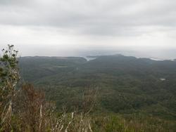 伊部岳！