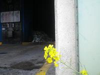 研修に行ってきました！その１ 2012/01/25 12:49:07