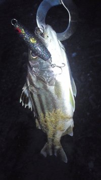 こんな所で？ 2010/10/07 23:52:00