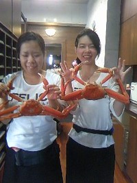 4月19日の記事 2013/04/19 09:43:36