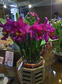 11月3日の記事 2013/11/03 20:19:19