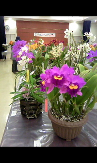 今晩ゎ＼(^O^) 2013/03/16 20:45:00
