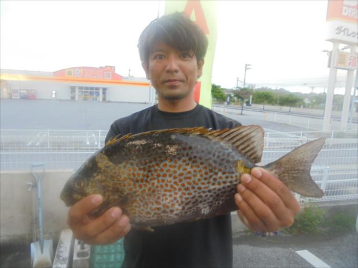 R2 6月13日 名前 宮城 大樹さん 魚名 カーエー 40 1 29 沖縄釣りざんまいブログ