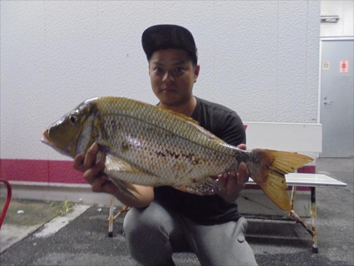 R2.7月4日　名前：仲眞　良さん　魚名：タマン　67.5㎝　3.67㎏