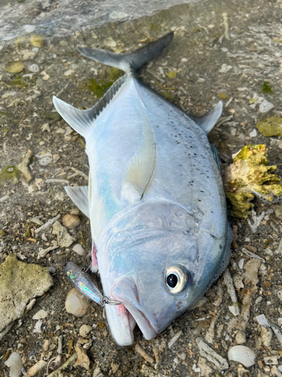 暑いけど釣りは行きます