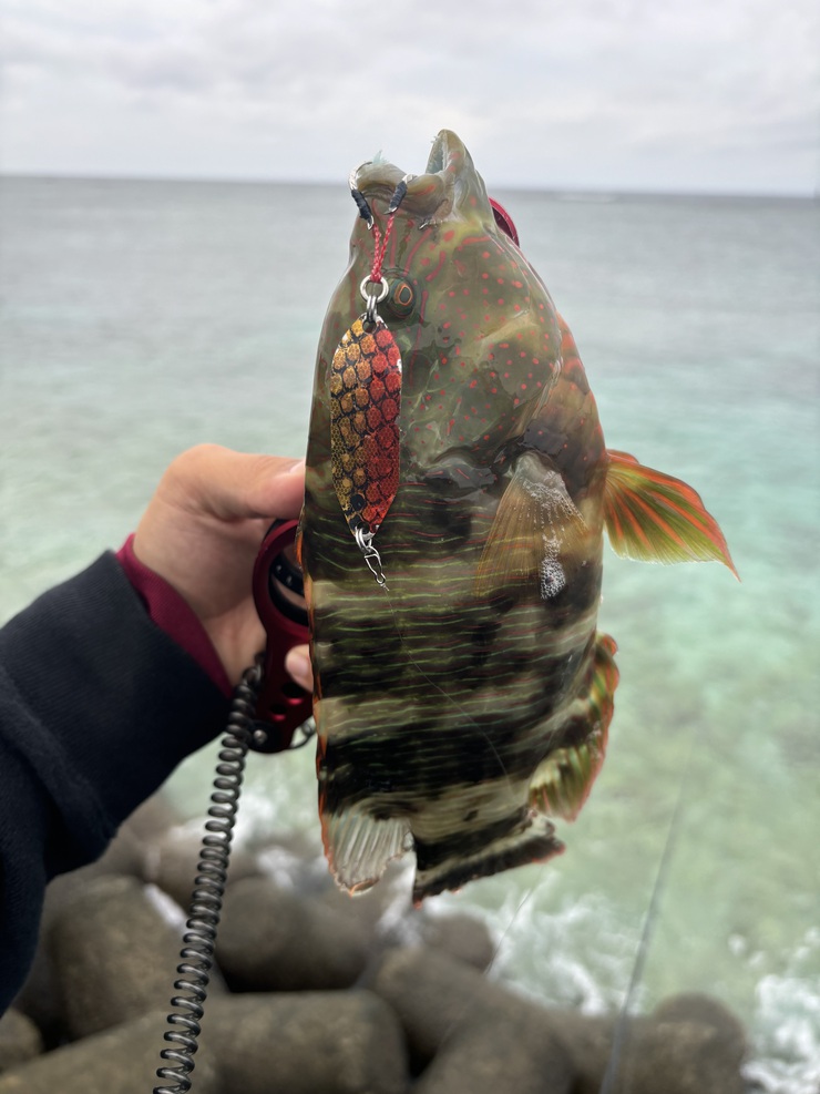 年末と年始の釣果