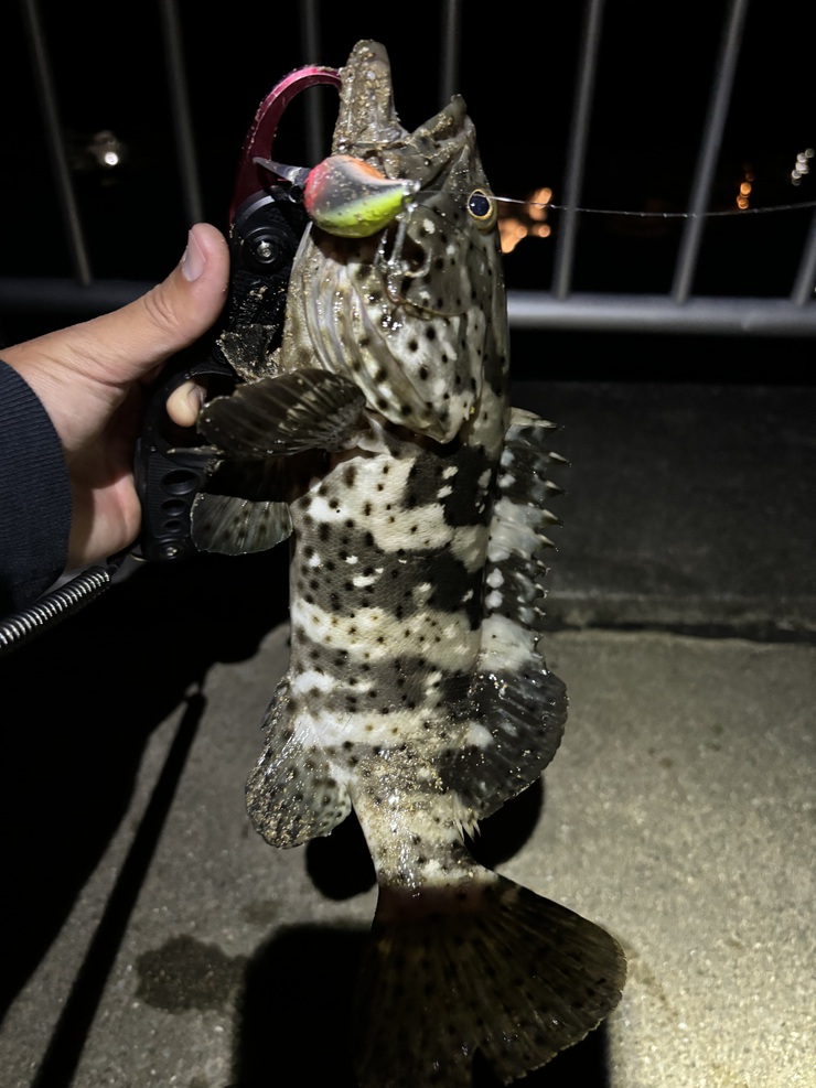 年末と年始の釣果