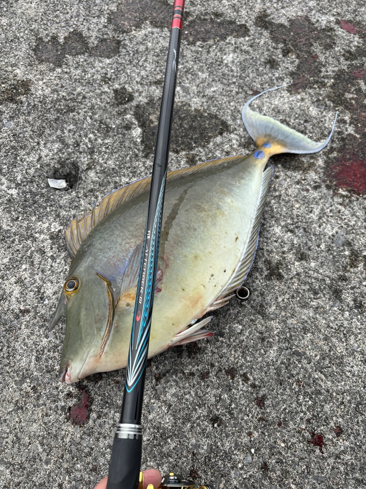 年末と年始の釣果