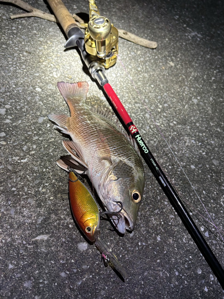 年末と年始の釣果