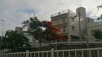梅雨明けは？ 2014/06/12 00:29:48