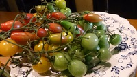 長野のお野菜たち 2014/07/17 19:06:46