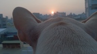 2016謹賀新年 2016/01/01 20:14:13