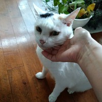 9月29日の記事 2018/09/29 14:32:48