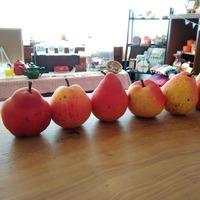 10月26日の記事 2018/10/26 09:23:02
