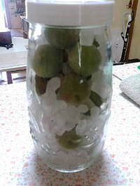 梅ドリンク作り(^-^) 2010/06/10 13:45:36