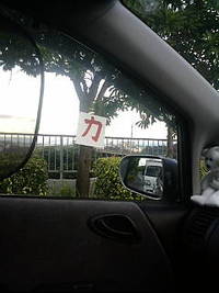いったい何の看板？ 2010/07/15 19:19:12