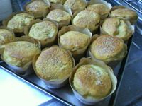 マフィン(^^) 2011/05/23 09:42:41