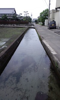 河童！ 2010/07/08 23:38:43