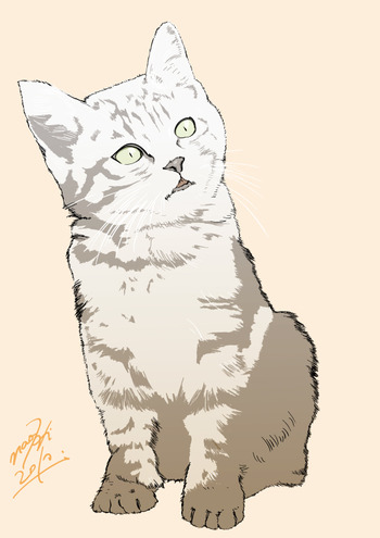 心に強く訴える子猫 イラスト 描き方 最高の動物画像