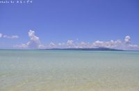 夏を思い出します。