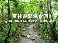 夏休み緊急企画南FCやんばる日帰りツアー 2011/08/15 23:53:27