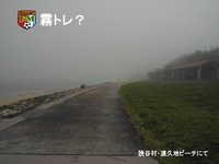 霧トレ？ 2011/08/07 22:20:50